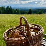 Krkonossky Vejminek 136 *