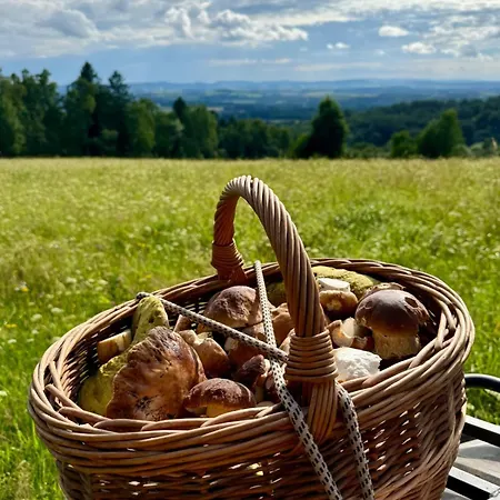 Krkonossky Vejminek 136 *