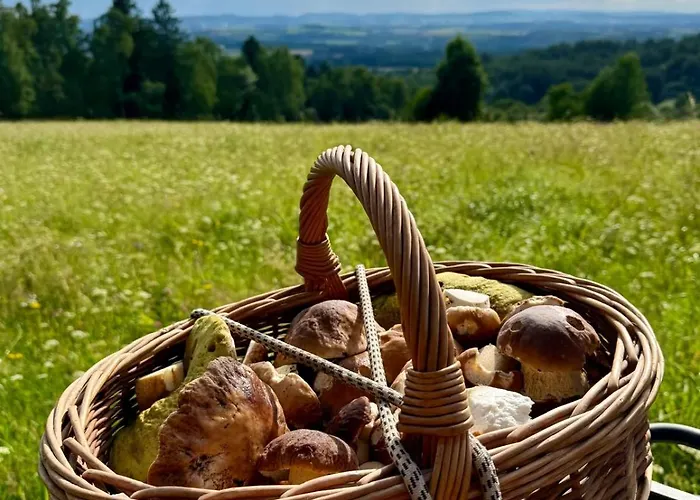 Krkonossky Vejminek 136 *